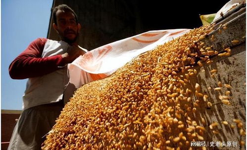 深層戰(zhàn)略還是表象目標(biāo)？聯(lián)合國(guó)高官揭露以色列軍事行動(dòng)的真實(shí)意圖