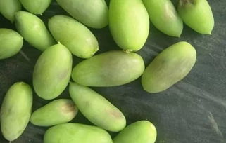 植保科技助力農(nóng)業(yè)發(fā)展，特色產(chǎn)業(yè)推動鄉(xiāng)村振興